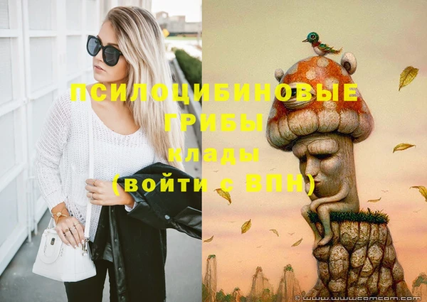 шишки Наволоки