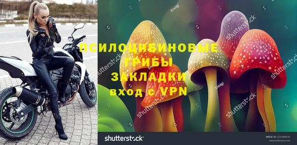 шишки Наволоки