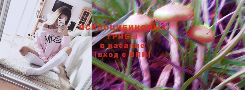 Галлюциногенные грибы Cubensis  купить  сайты  Гурьевск 