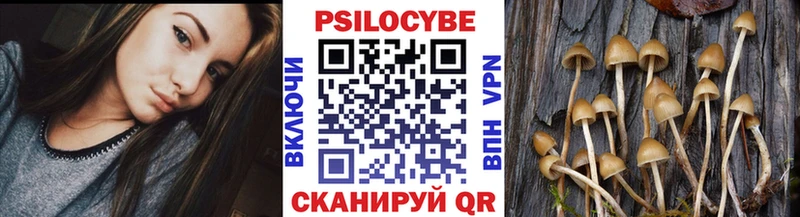 Псилоцибиновые грибы мухоморы  Гурьевск 